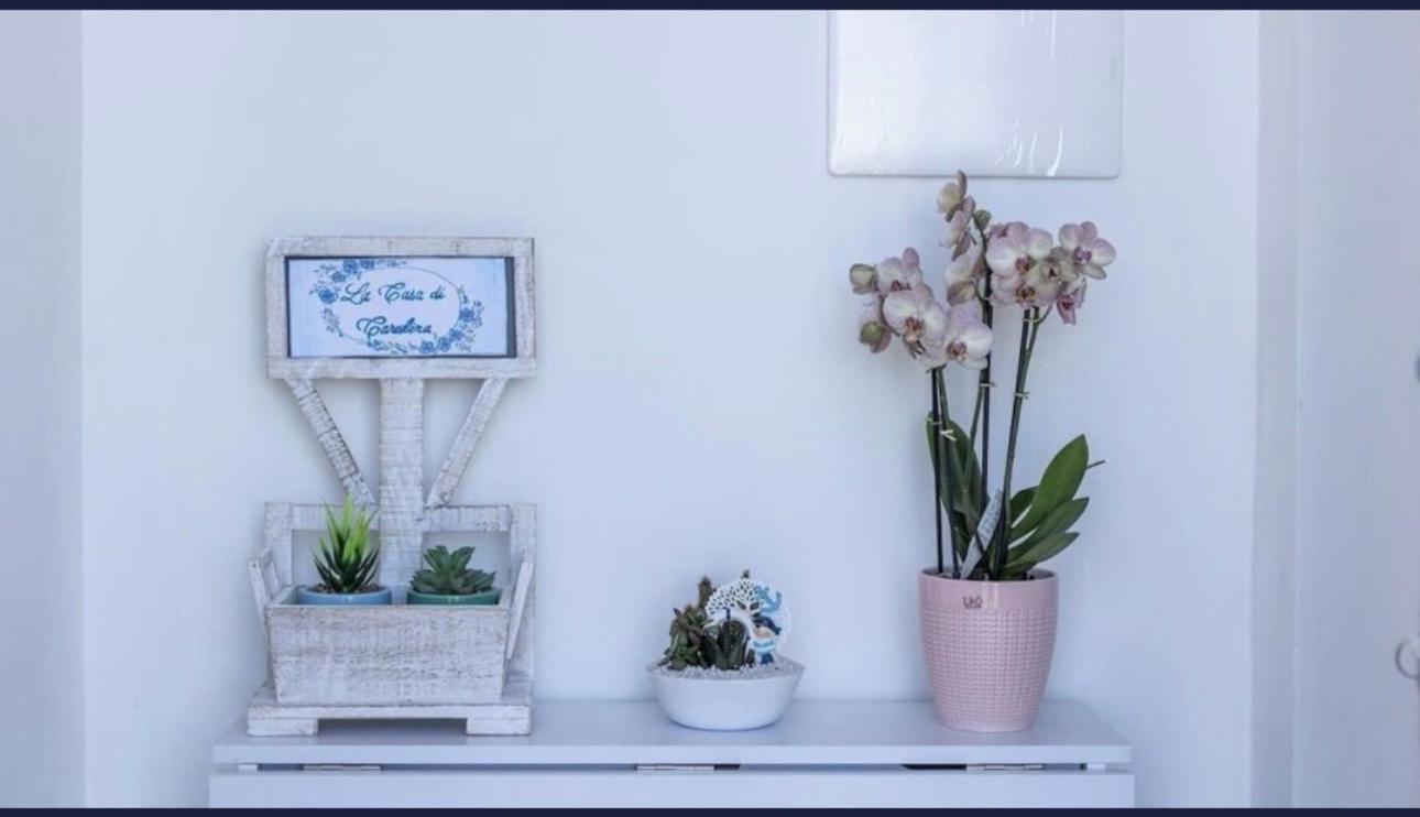 마라테아 La Casa Di Carolina 아파트 외부 사진
